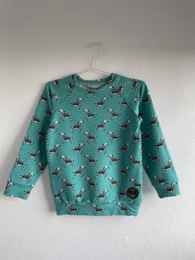 Bluza vatuita Zebre